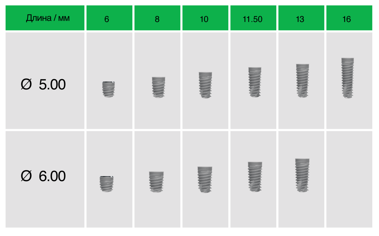 MIS-seven-razmeri1-03