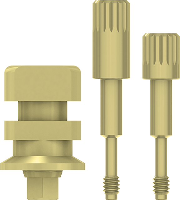 MM-IOI11